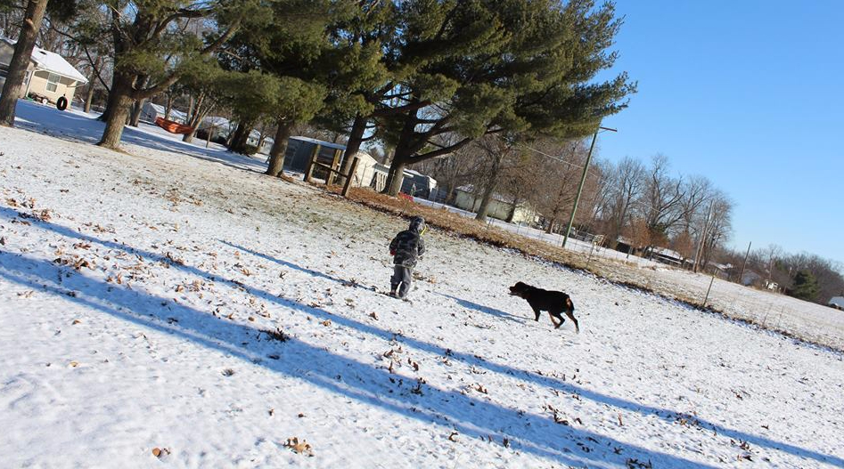 15940473_10211095012953210_3707089824244671127_n